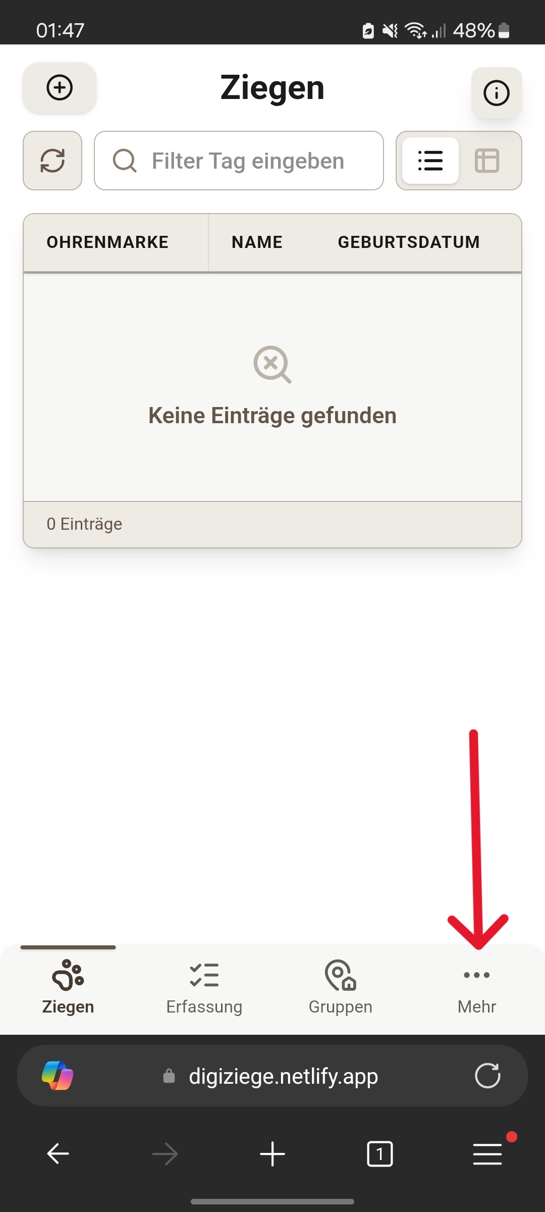 Seiten Einstellungen