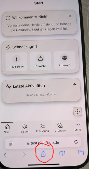 Seiten Einstellungen