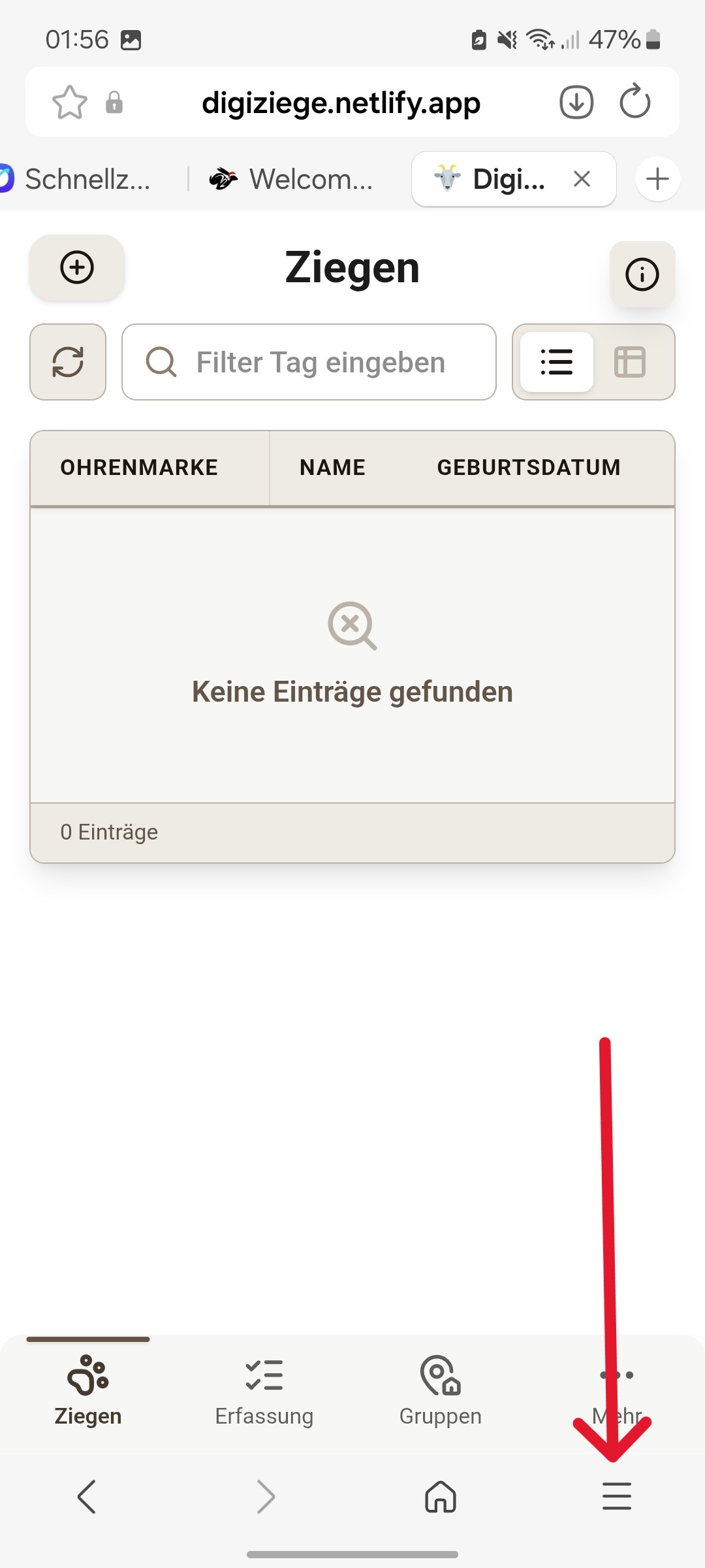 Seiten Einstellungen